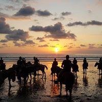 Horseback riding at sunset, South Pacific, Costa Rica